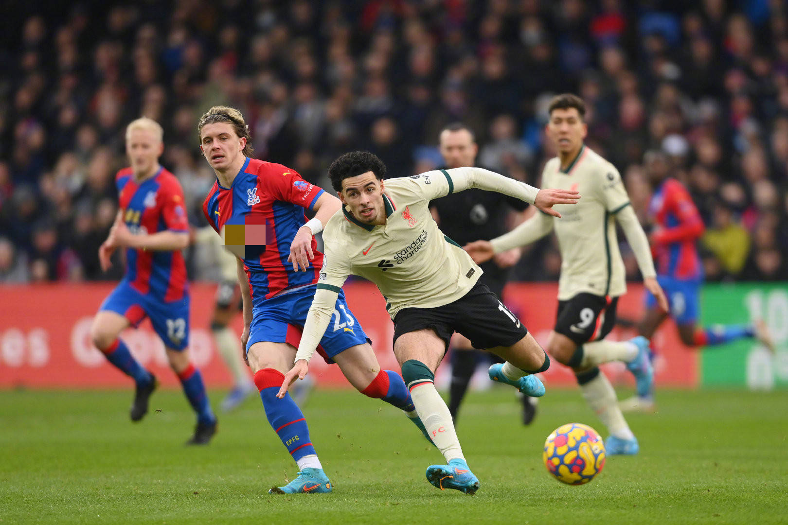 样的效果 样的效果